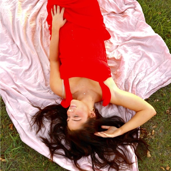 BB Dakota by Steve red Madden Dress - Picture 3 of 10